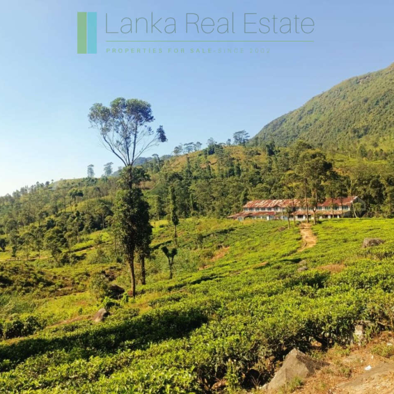 500 acre estate with tea factory near Kandy