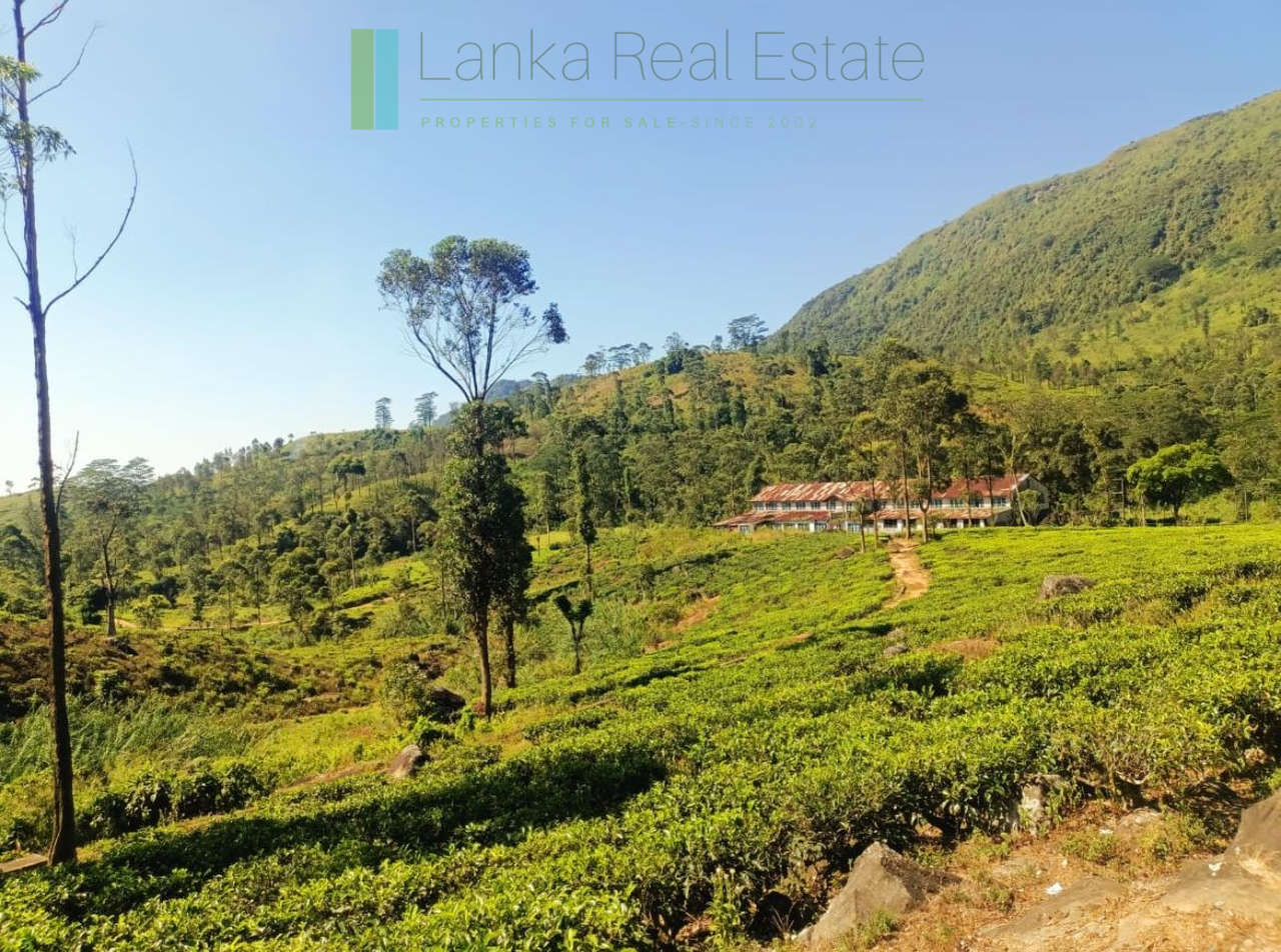 500 acre estate with tea factory near Kandy