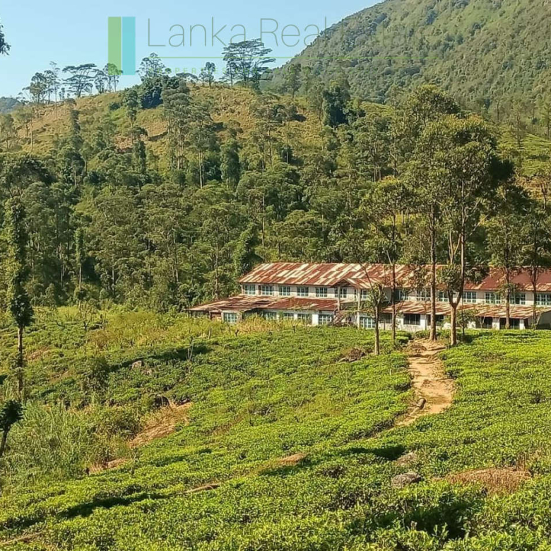 500 acre estate with tea factory near Kandy