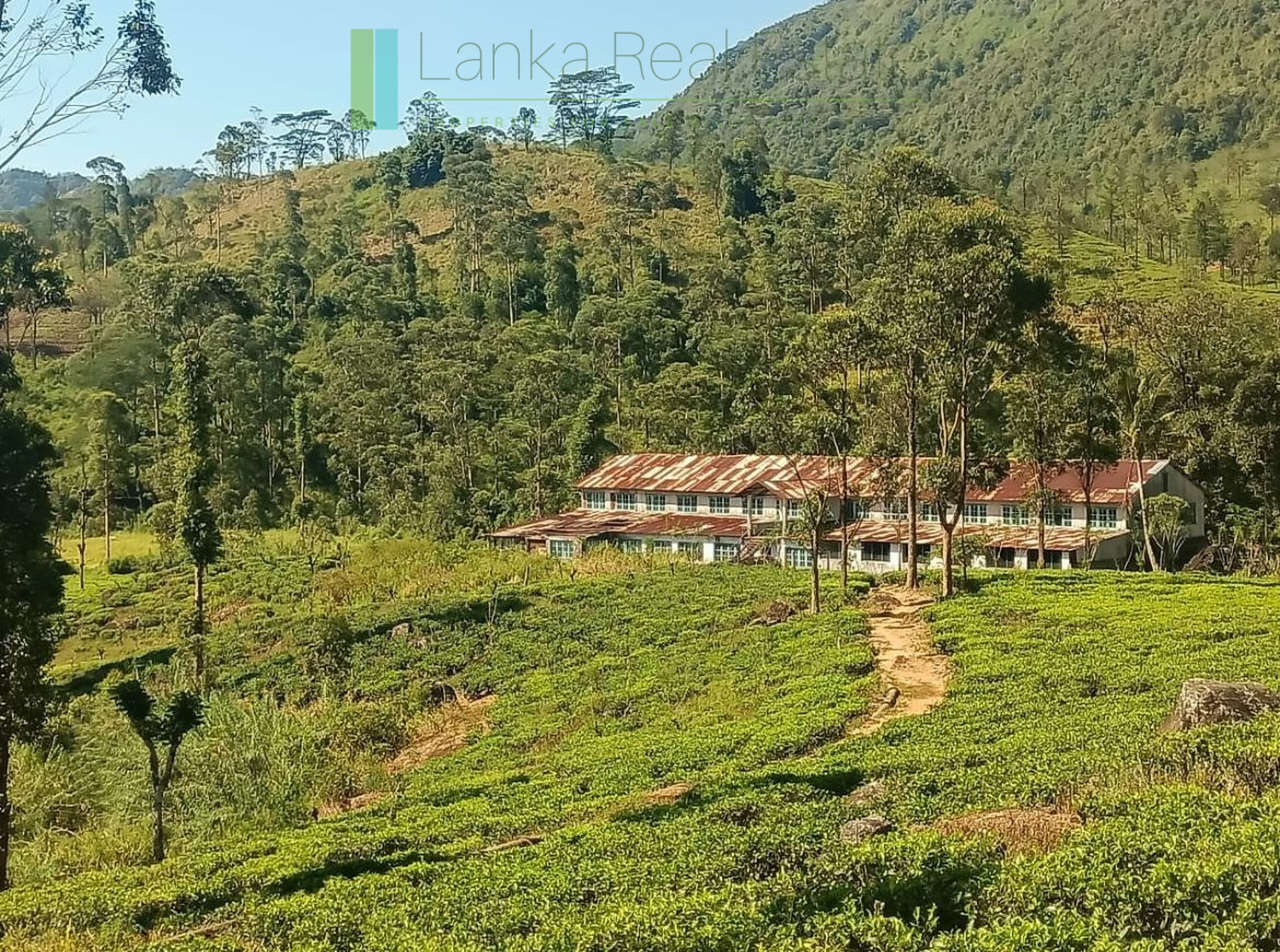 500 acre estate with tea factory near Kandy