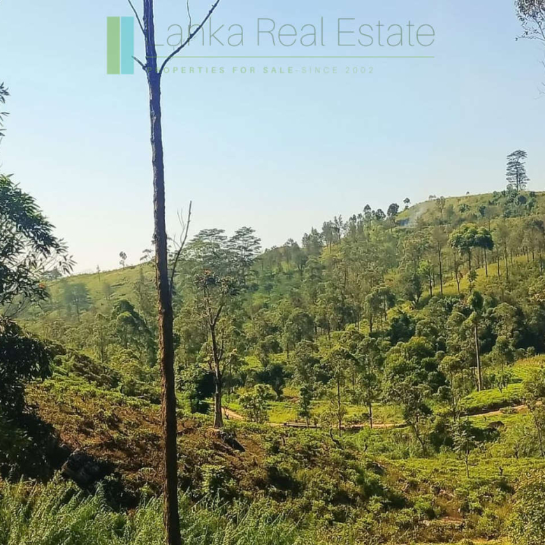 500 acre estate with tea factory near Kandy