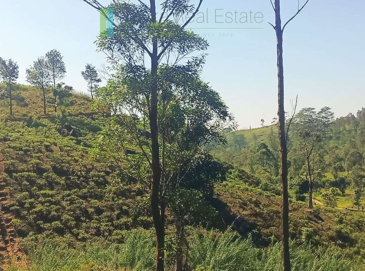 500 acre estate with tea factory near Kandy