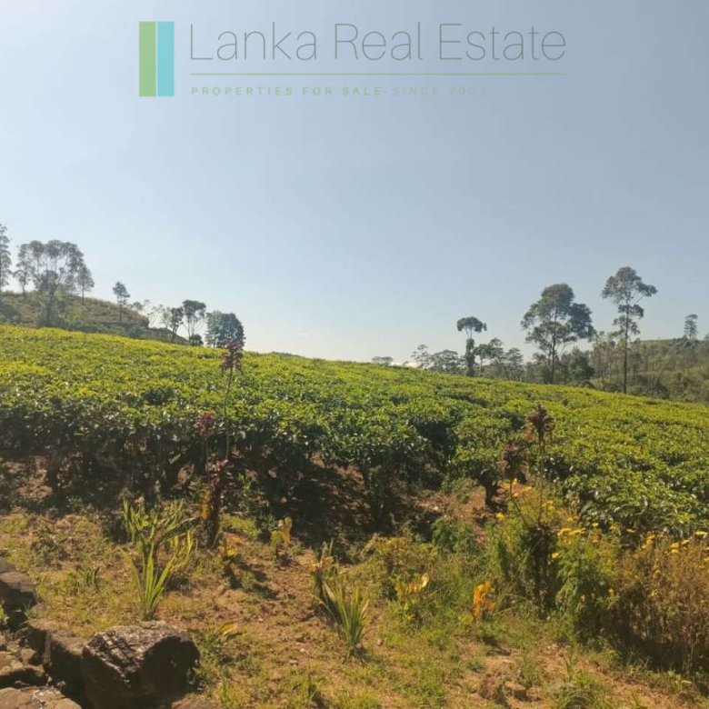 500 acre estate with tea factory near Kandy
