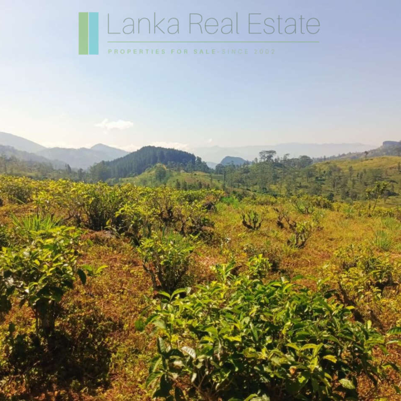 500 acre estate with tea factory near Kandy