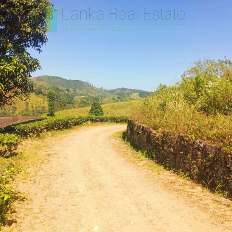 500 acre estate with tea factory near Kandy