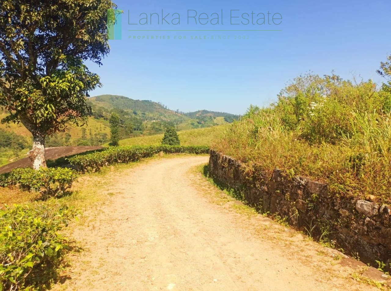 500 acre estate with tea factory near Kandy