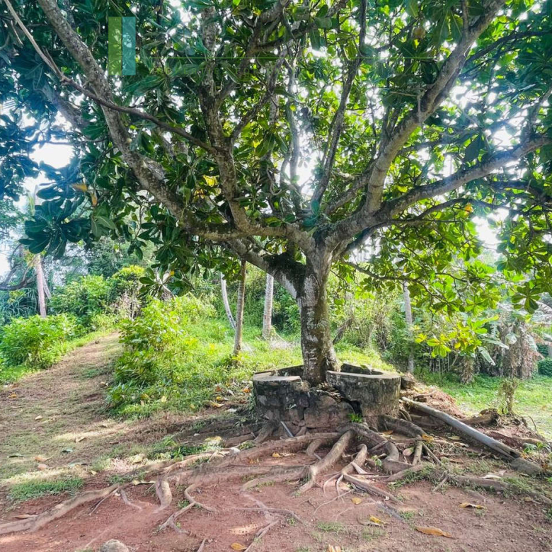 Exceptional private headland in Ahangama
