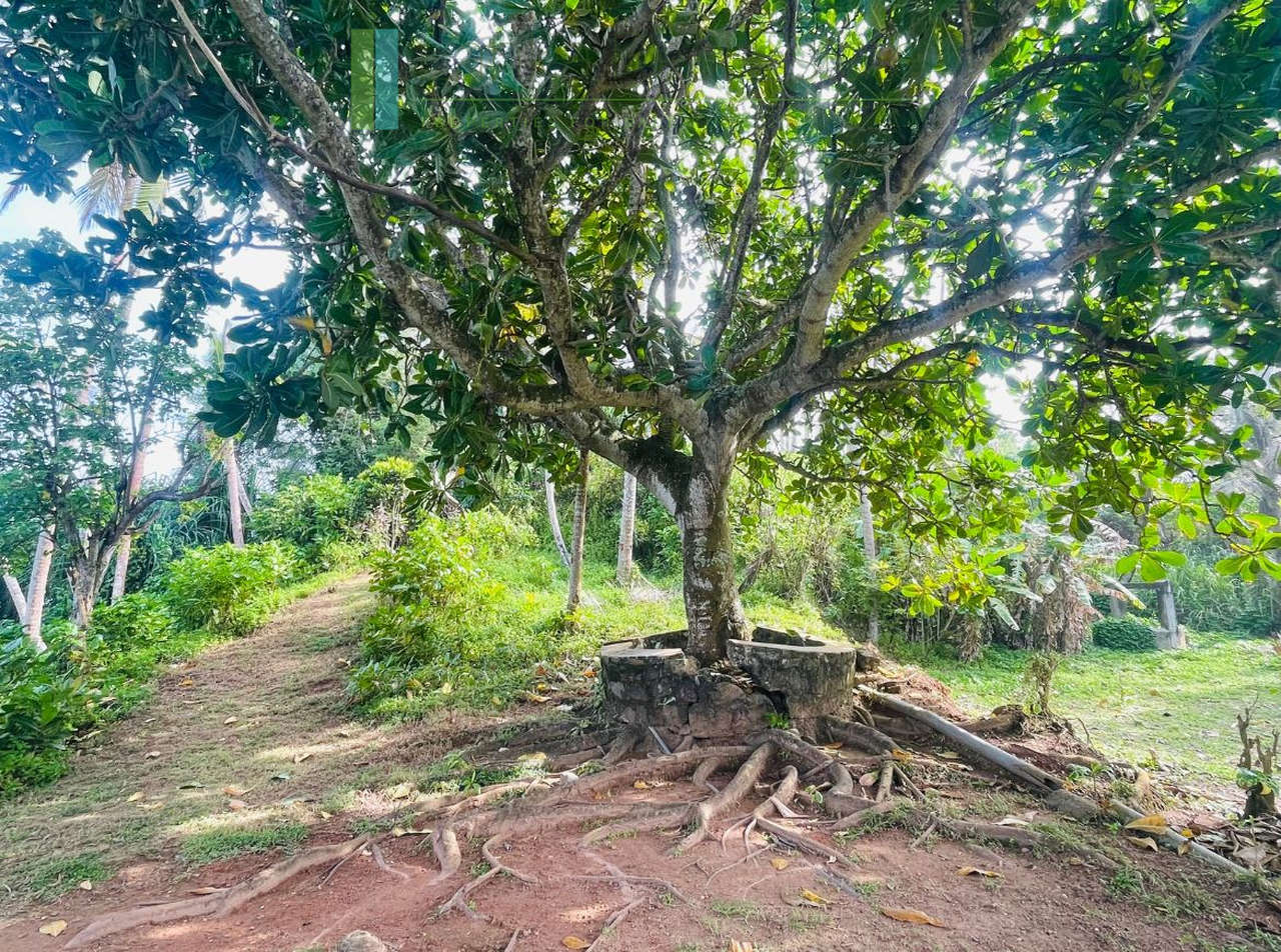 Exceptional private headland in Ahangama