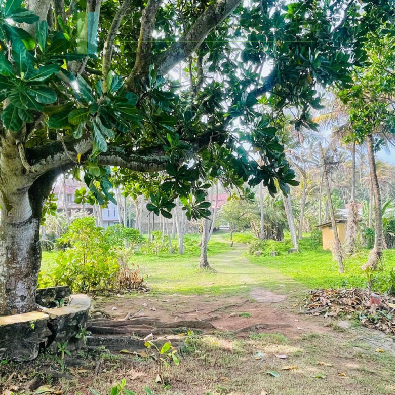 Exceptional private headland in Ahangama