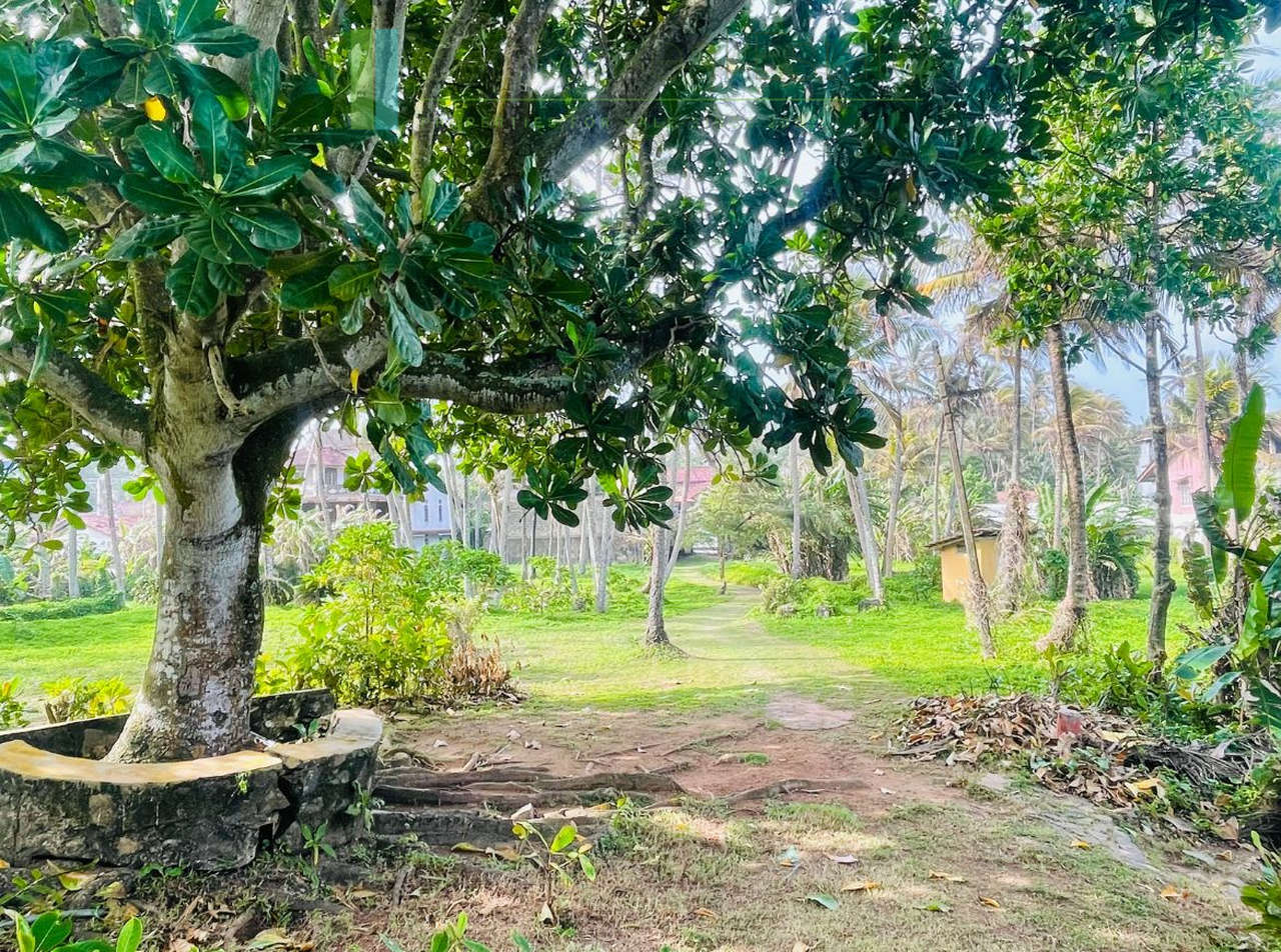 Exceptional private headland in Ahangama