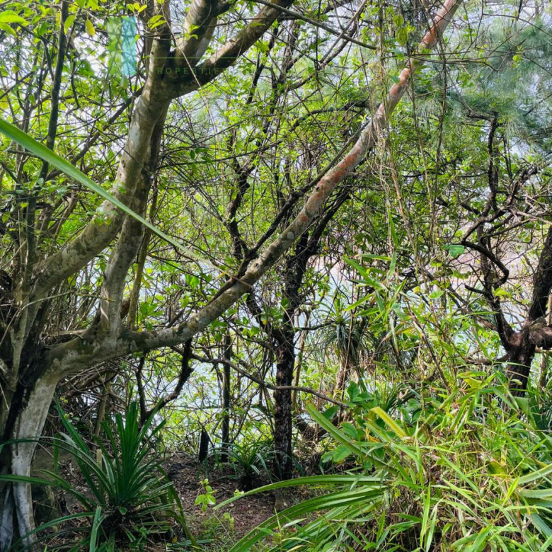 Exceptional private headland in Ahangama