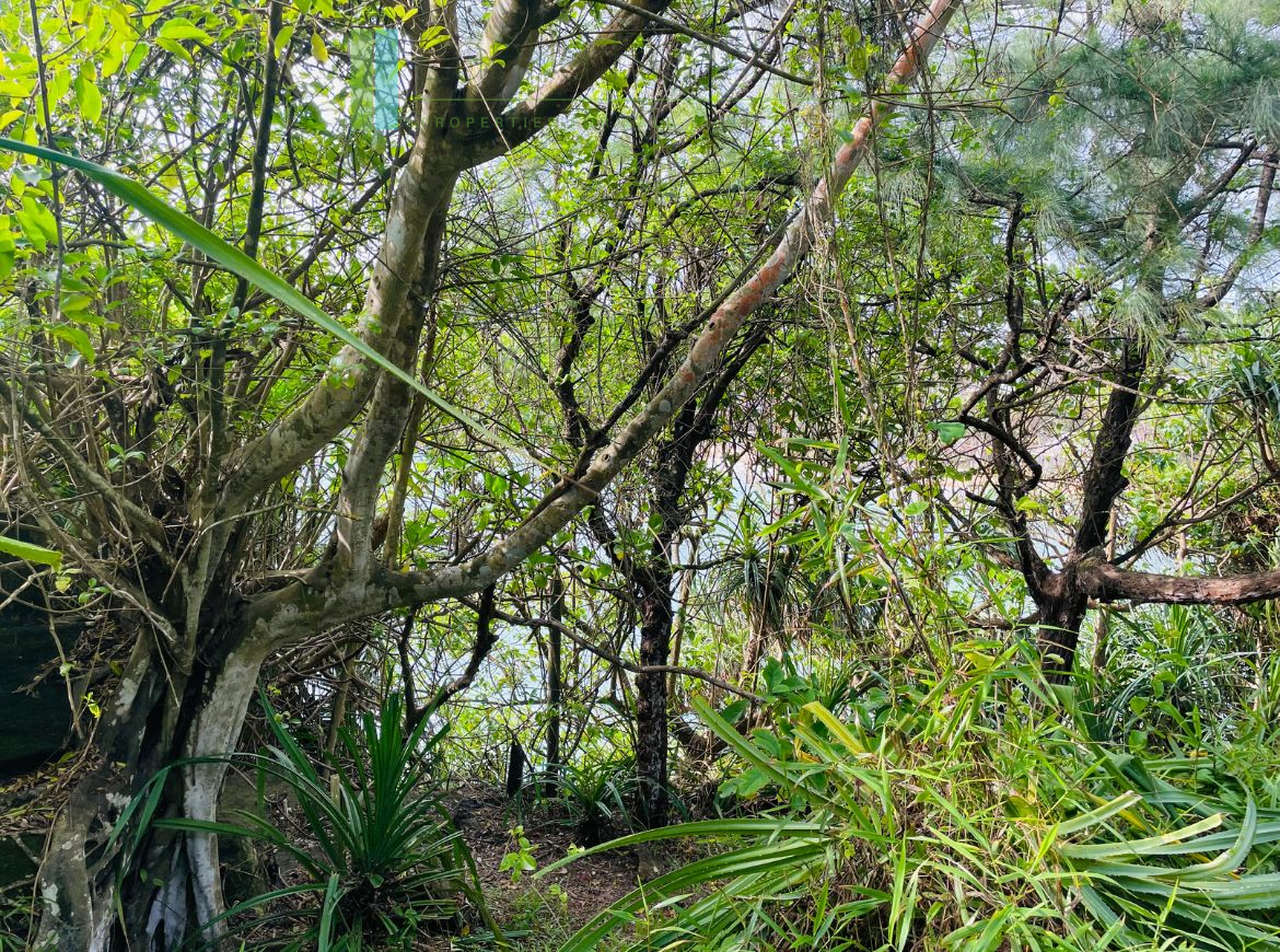 Exceptional private headland in Ahangama