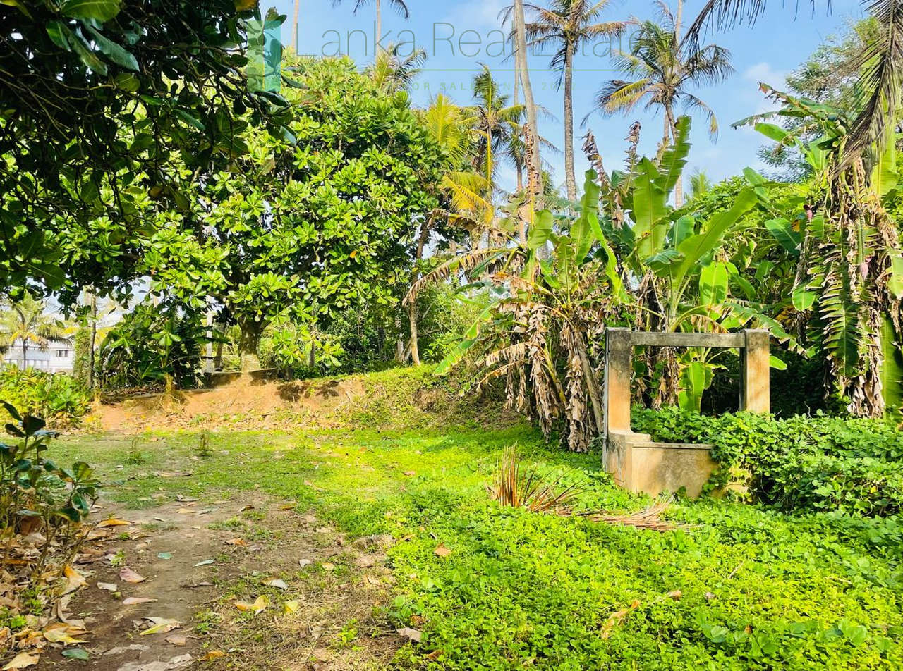Exceptional private headland in Ahangama