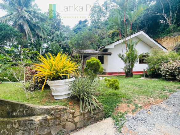 Elevated plot in Heenatigala with local-style house