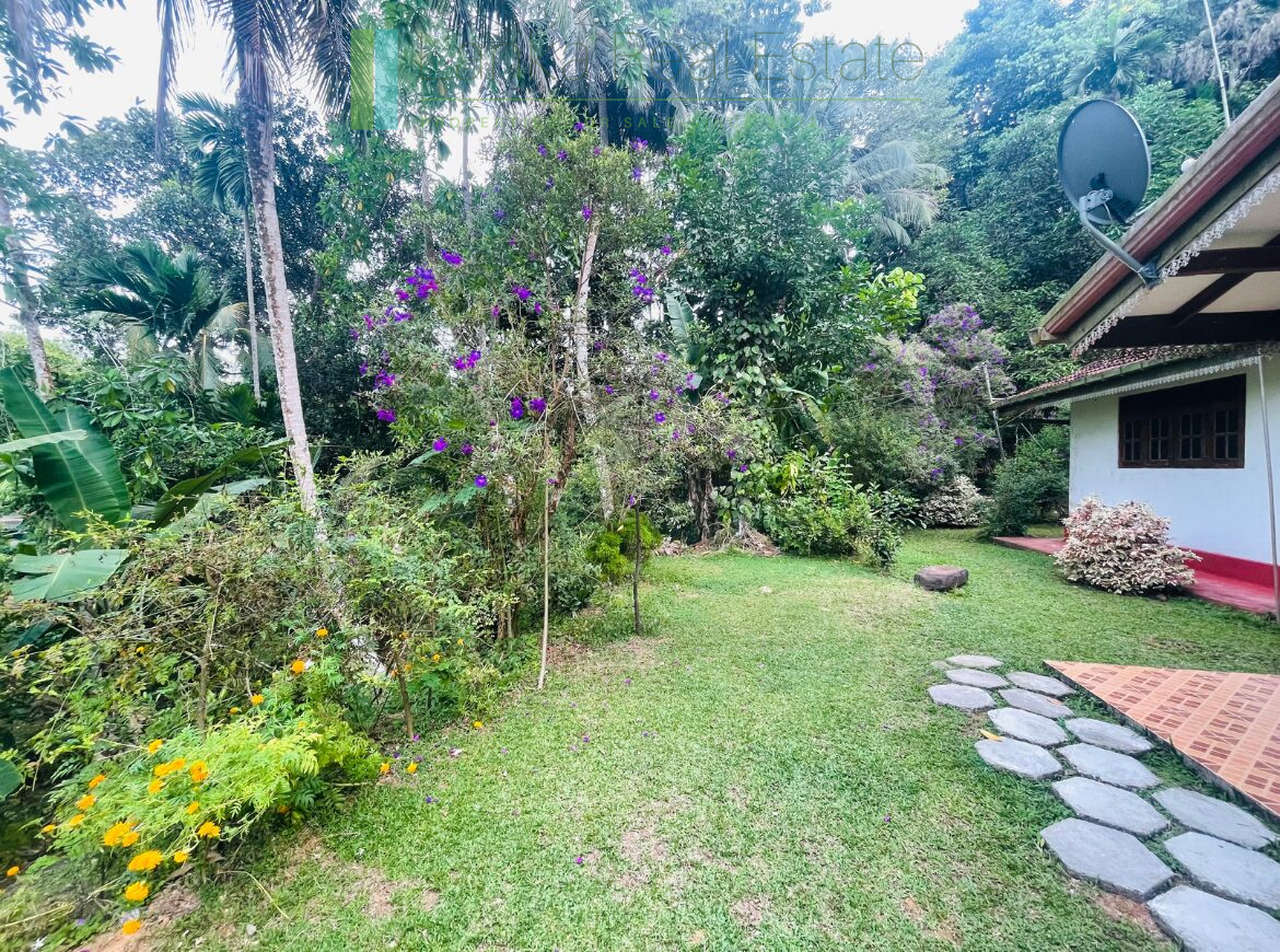 Elevated plot in Heenatigala with local-style house