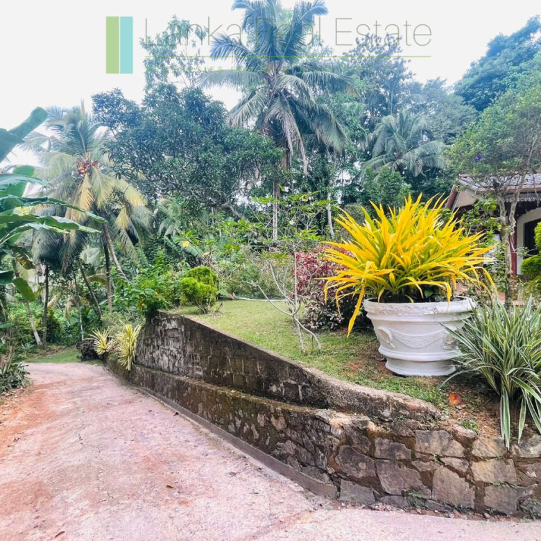 Elevated plot in Heenatigala with local-style house