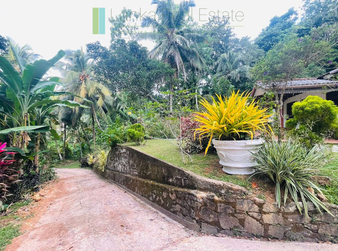 Elevated plot in Heenatigala with local-style house