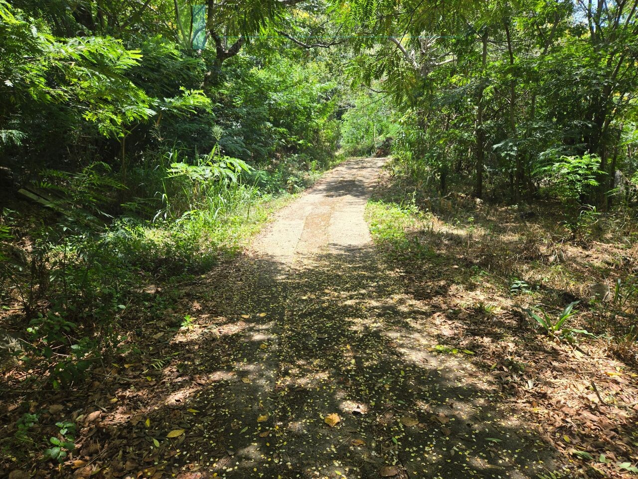 Unique hill-country development plot with tea garden