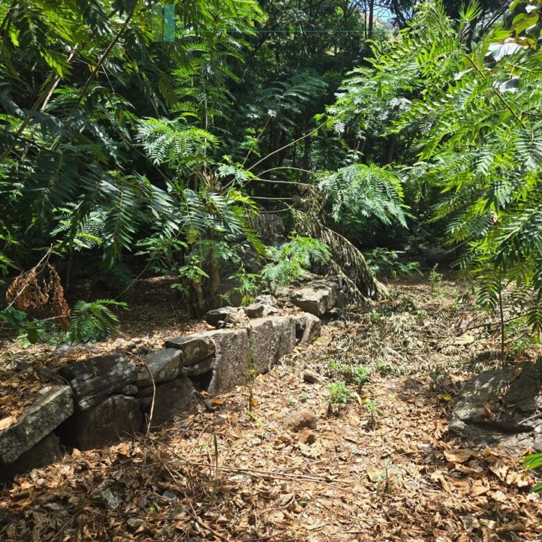 Unique hill-country development plot with tea garden