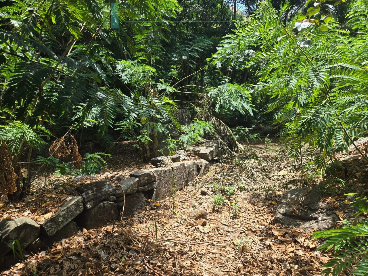 Unique hill-country development plot with tea garden