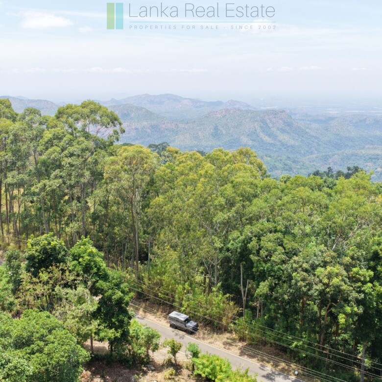 Unique hill-country development plot with tea garden