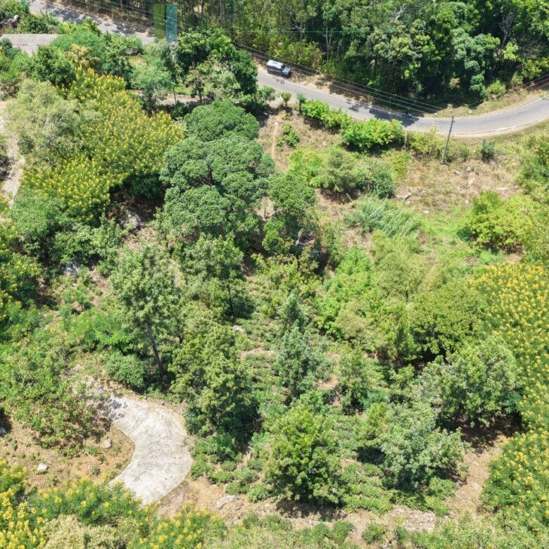 Unique hill-country development plot with tea garden