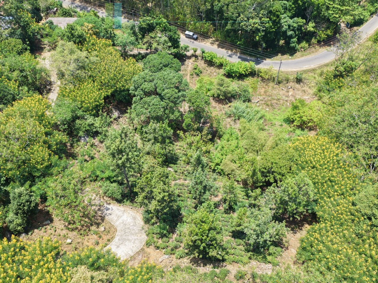 Unique hill-country development plot with tea garden