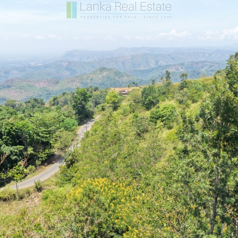 Unique hill-country development plot with tea garden