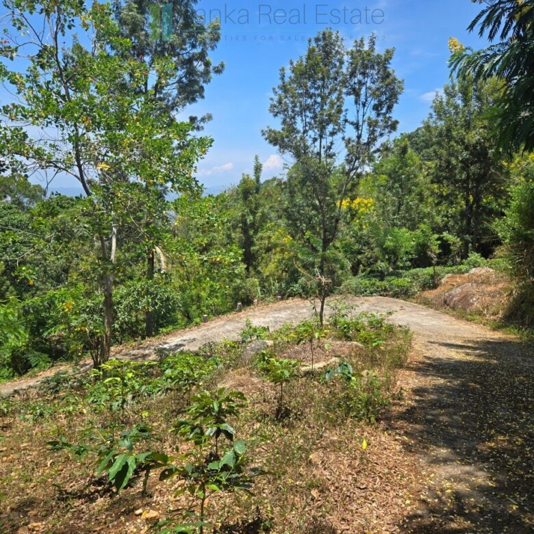 Unique hill-country development plot with tea garden