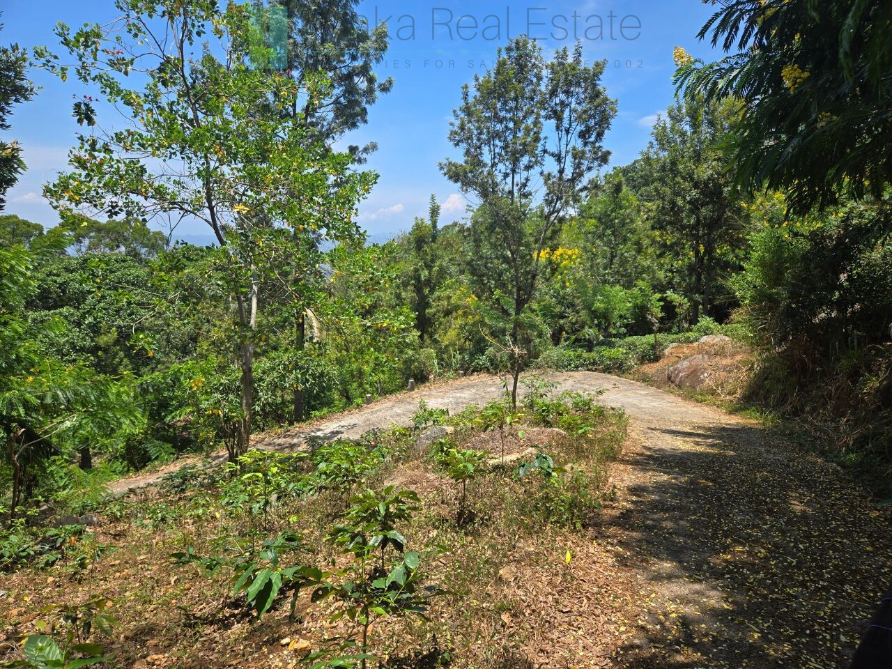 Unique hill-country development plot with tea garden