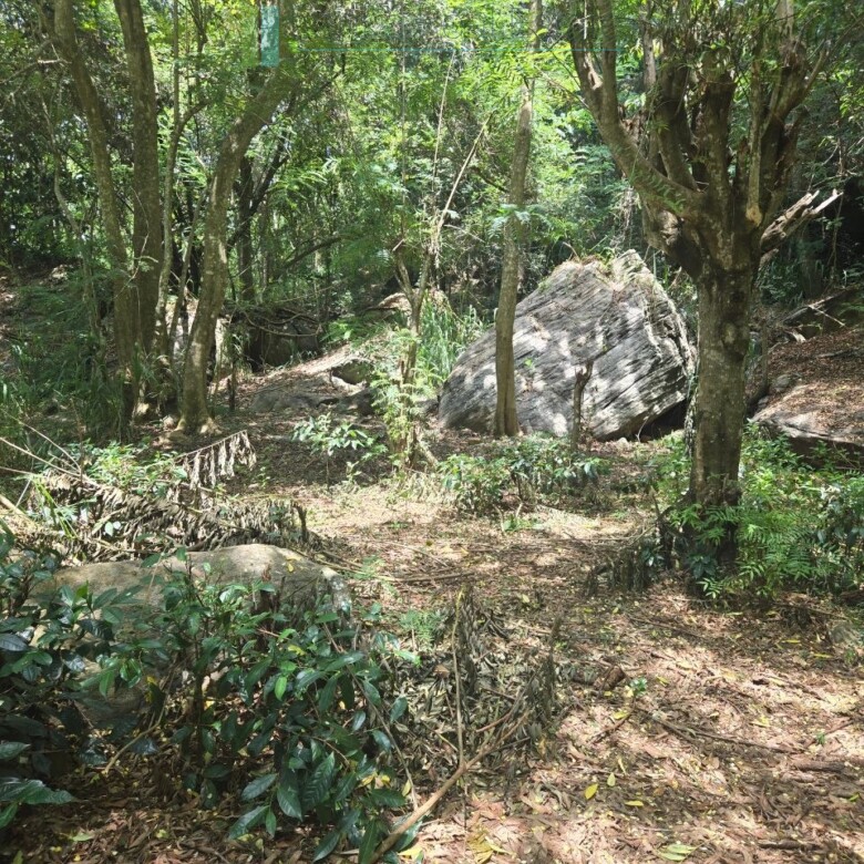 Unique hill-country development plot with tea garden