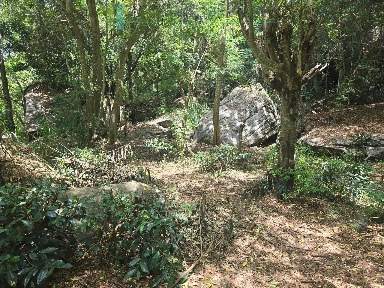 Unique hill-country development plot with tea garden