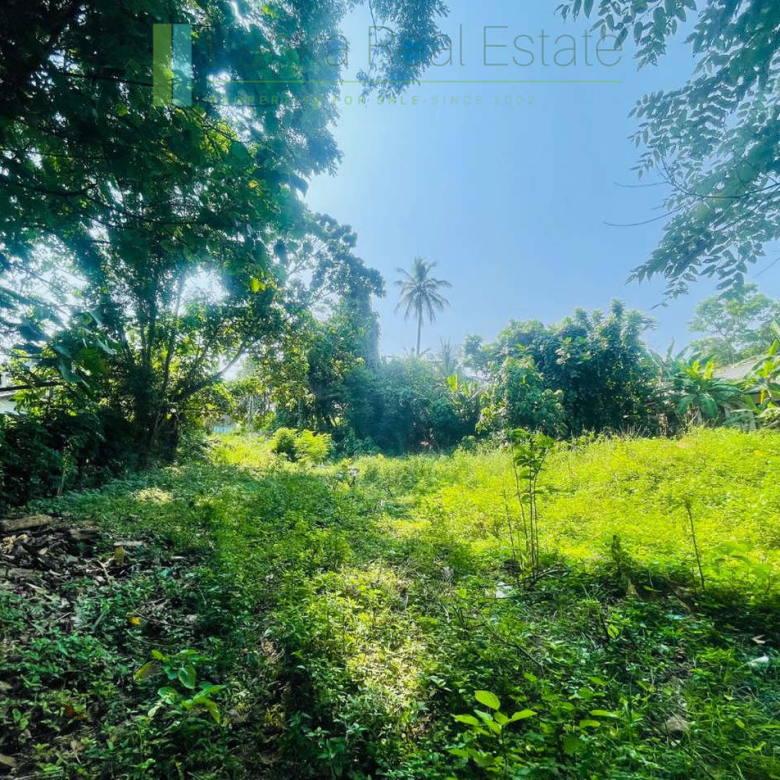 Elevated lakefront land near Galle