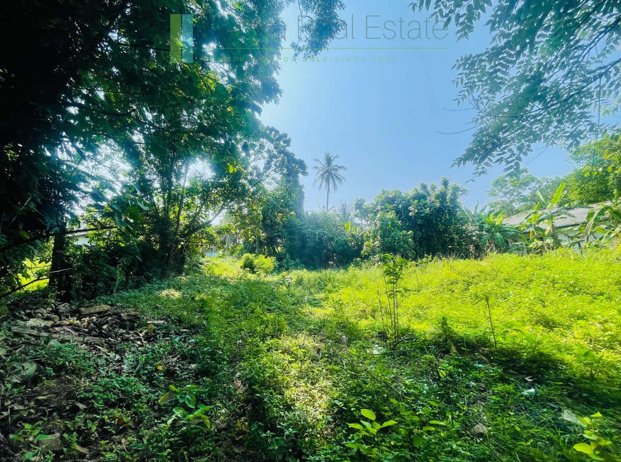 Elevated lakefront land near Galle