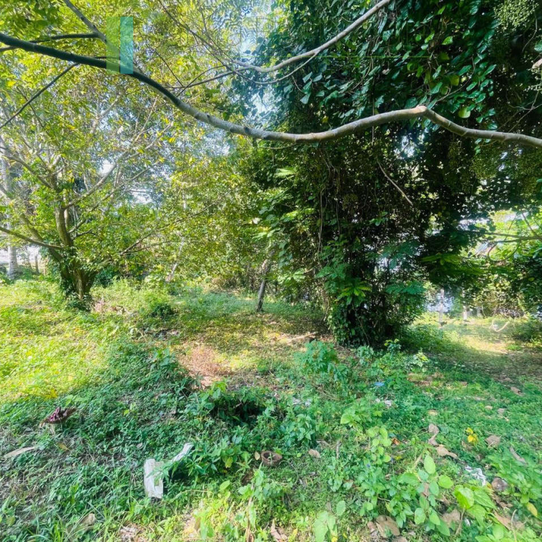 Elevated lakefront land near Galle