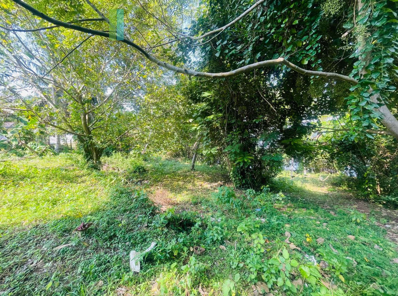 Elevated lakefront land near Galle