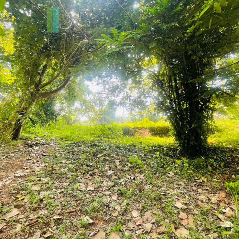 Elevated lakefront land near Galle