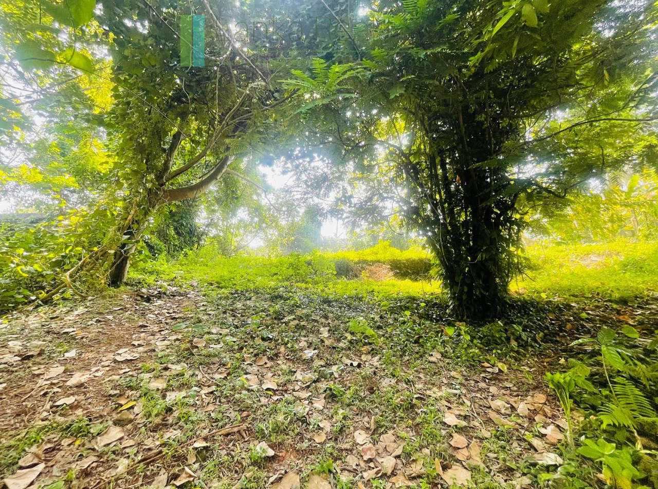 Elevated lakefront land near Galle