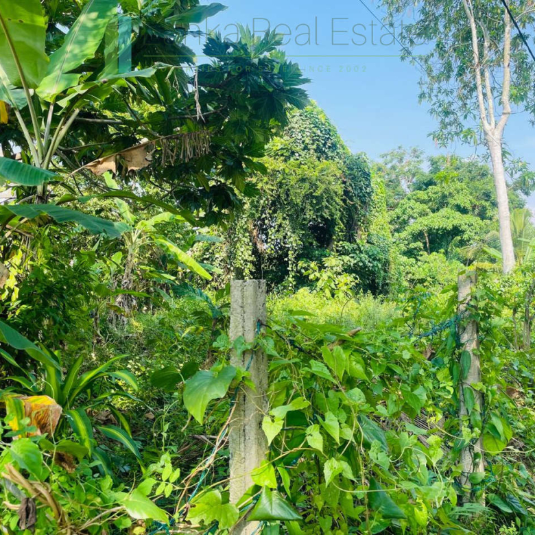 Elevated lakefront land near Galle