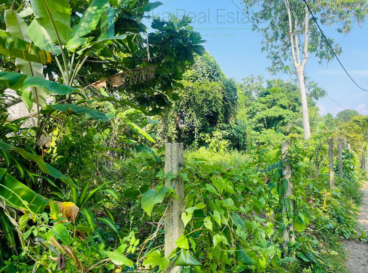 Elevated lakefront land near Galle