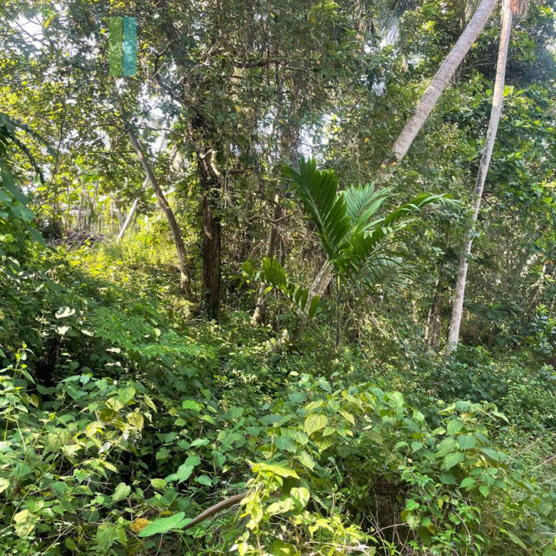 Elevated lakefront land near Galle
