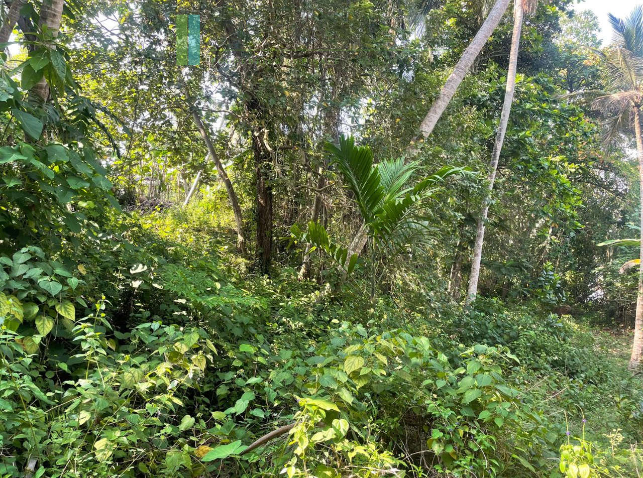 Elevated lakefront land near Galle