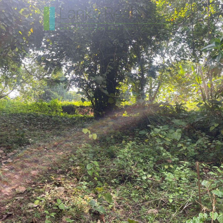 Elevated lakefront land near Galle