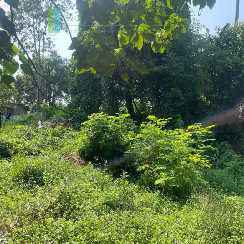 Elevated lakefront land near Galle