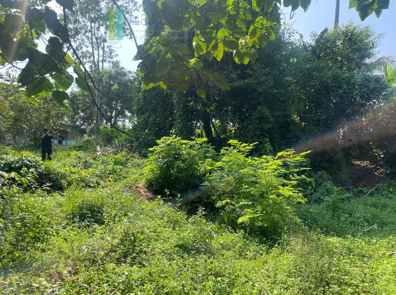 Elevated lakefront land near Galle