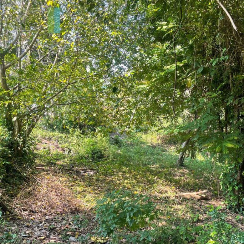 Elevated lakefront land near Galle