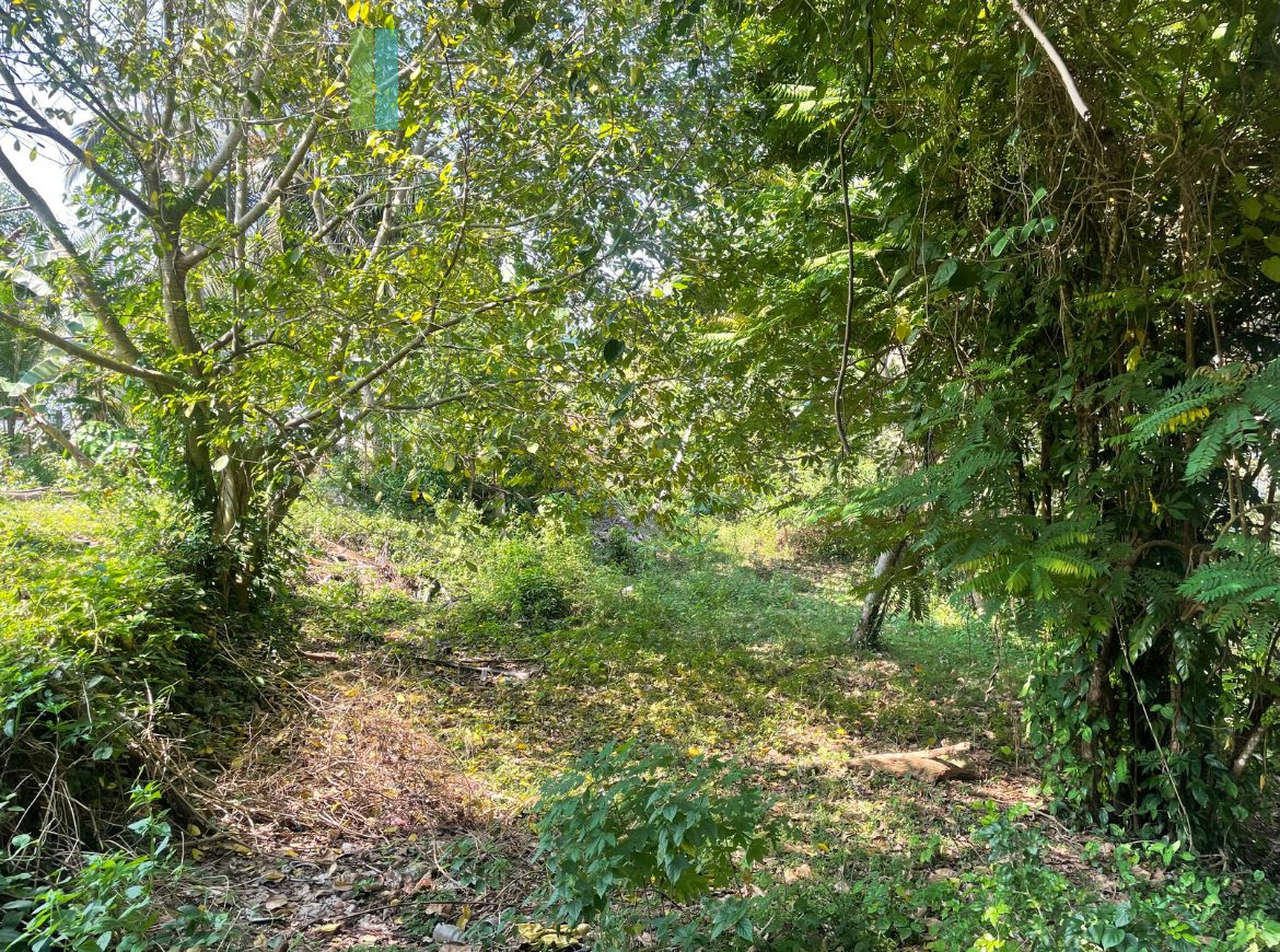 Elevated lakefront land near Galle