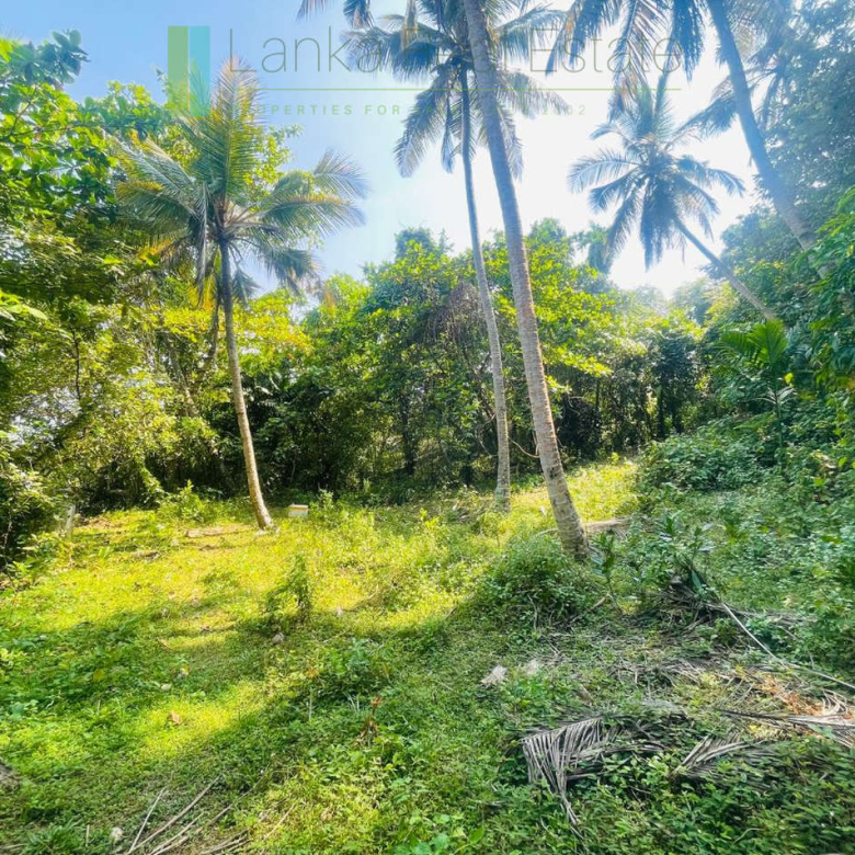 Elevated lakefront land near Galle