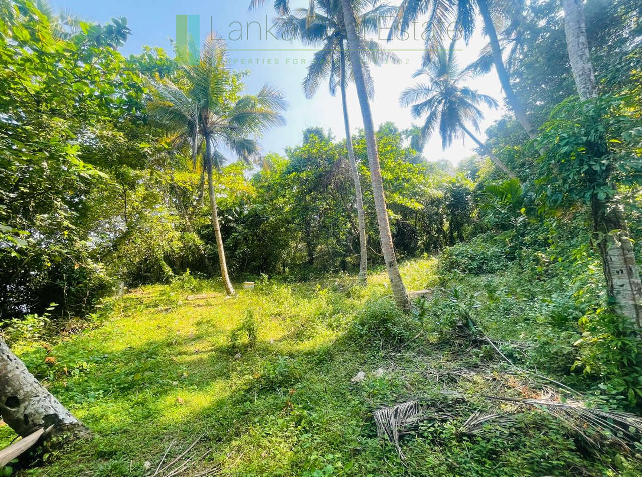 Elevated lakefront land near Galle