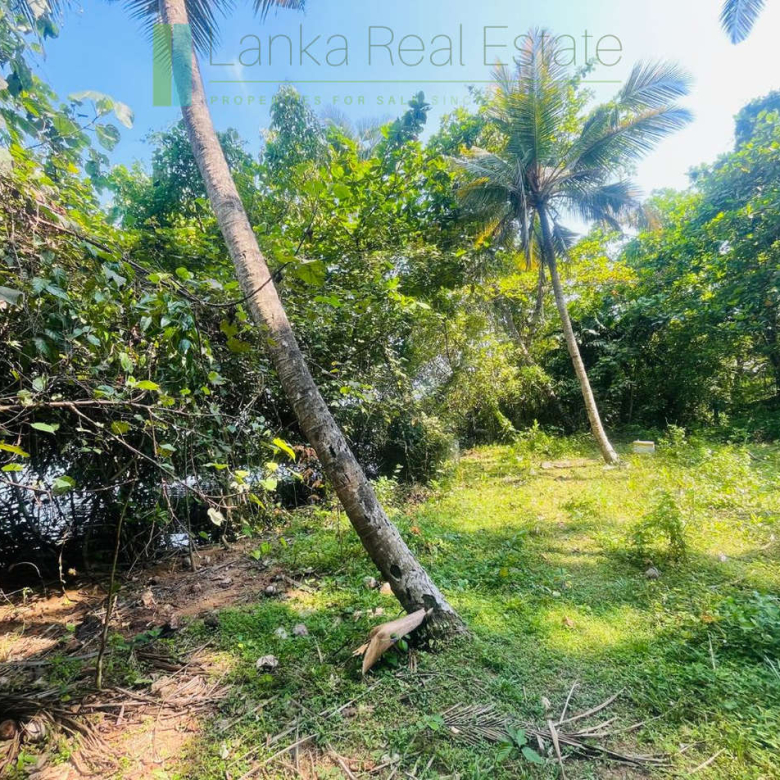 Elevated lakefront land near Galle